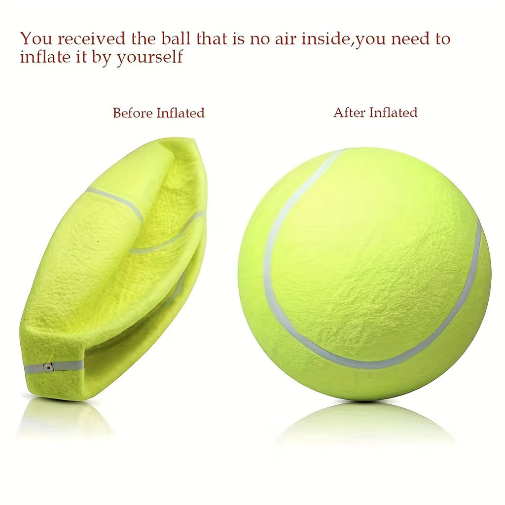 needle giant   pet tennis ball