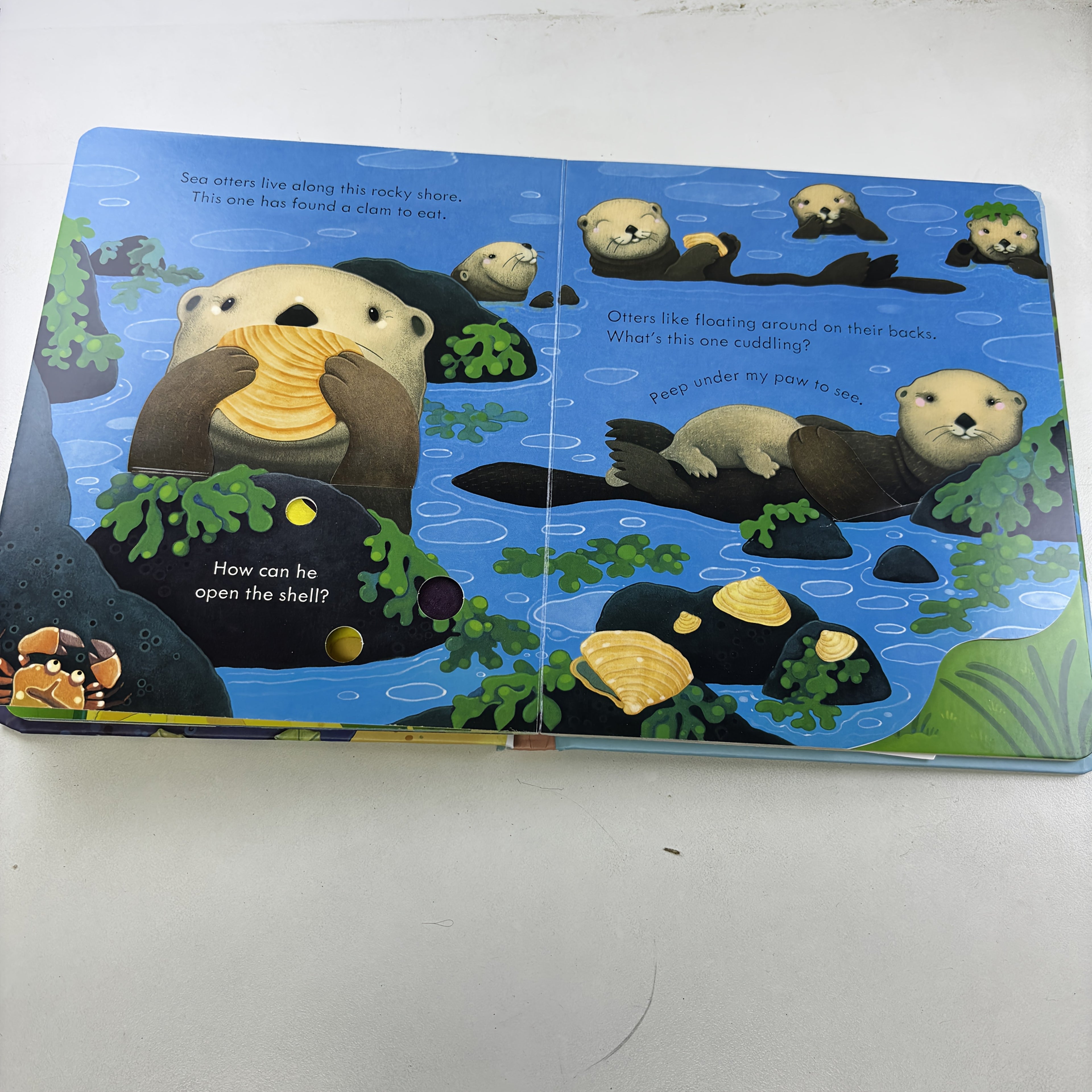 coastal     material foldable inner pages
