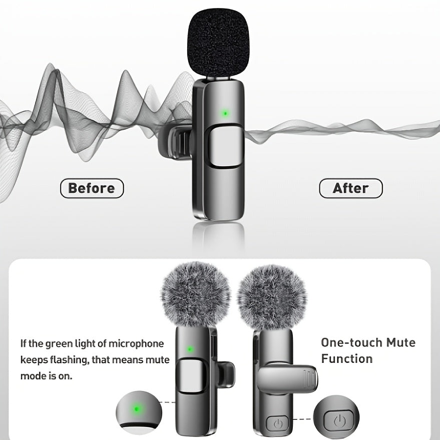 professional dual wireless lapel microphone system
