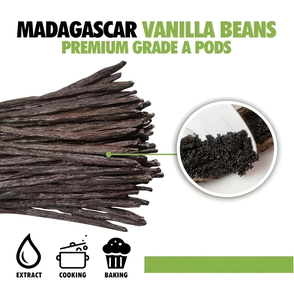 25pcs   madagascar   suitable making