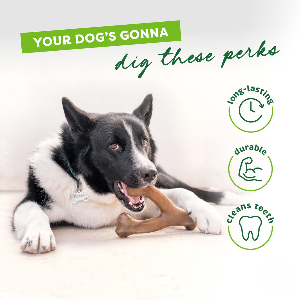 indestructible dog chew toy   long lasting