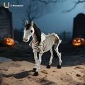 unique halloween party gift featuring a skeleton horse