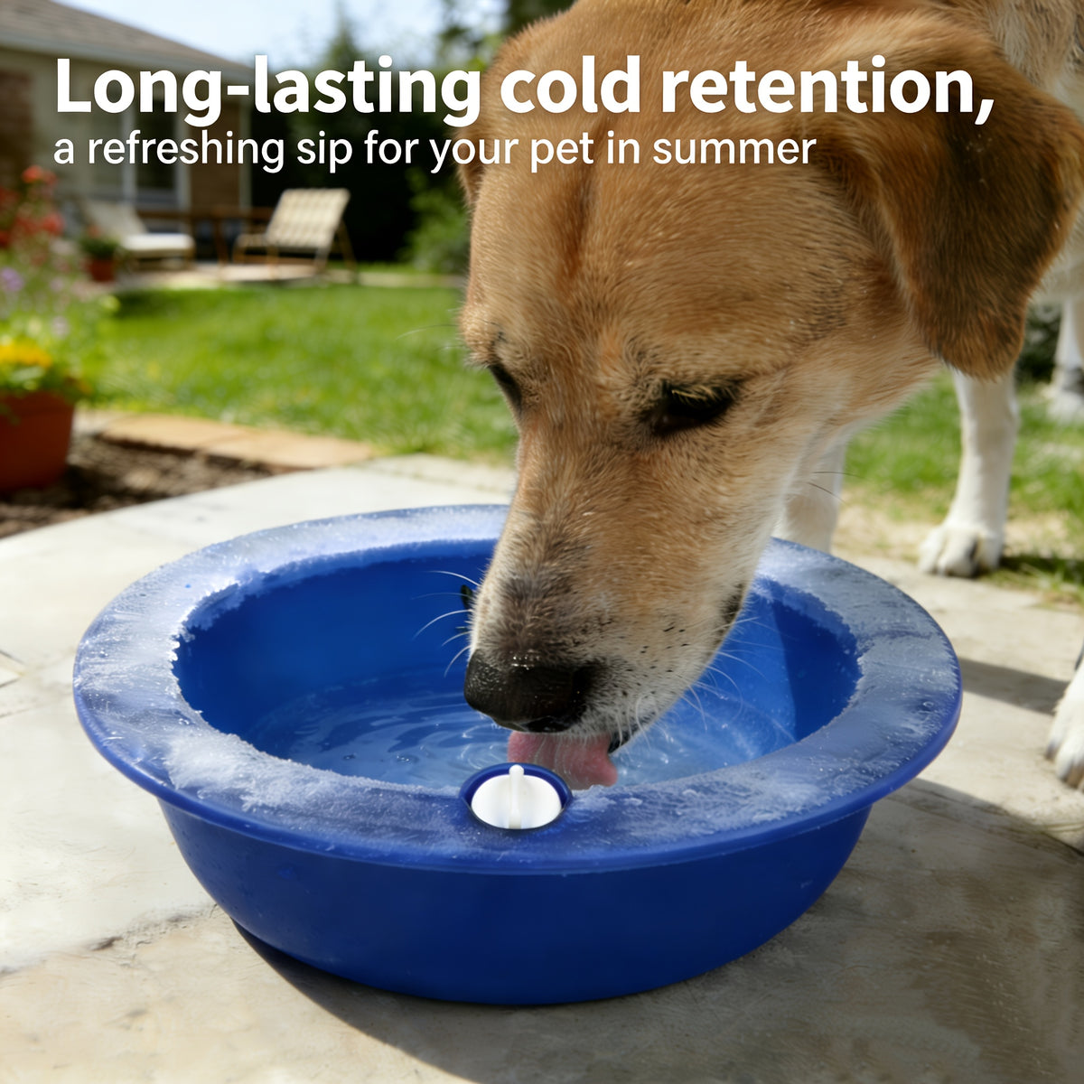 1pc   bowl cooling water feeder reusable ice filled