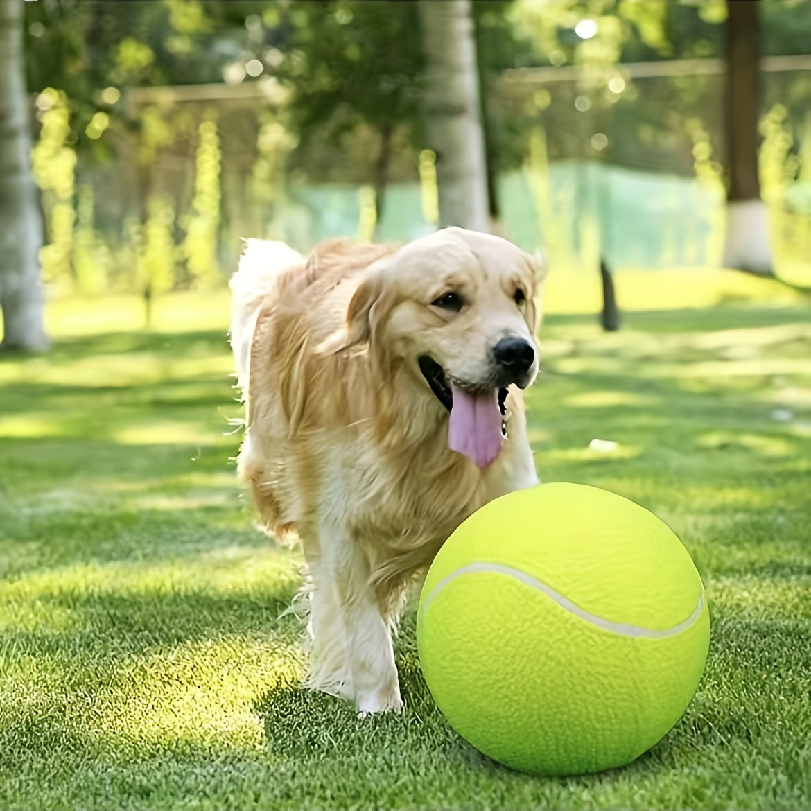 needle giant   pet tennis ball