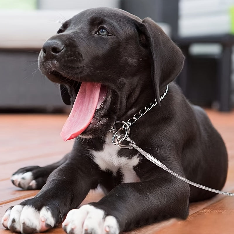 stainless   leash features reflective rust proof